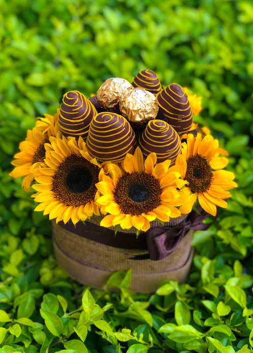 Caja de Girasoles